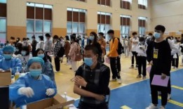 胖虎人力爆料最新消息,最新职场动态揭秘